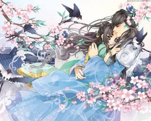 深入了解 菠萝导航